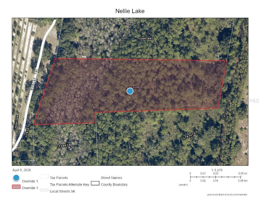 5250 LAKE NELLIE RD, CLERMONT, FL, 34714