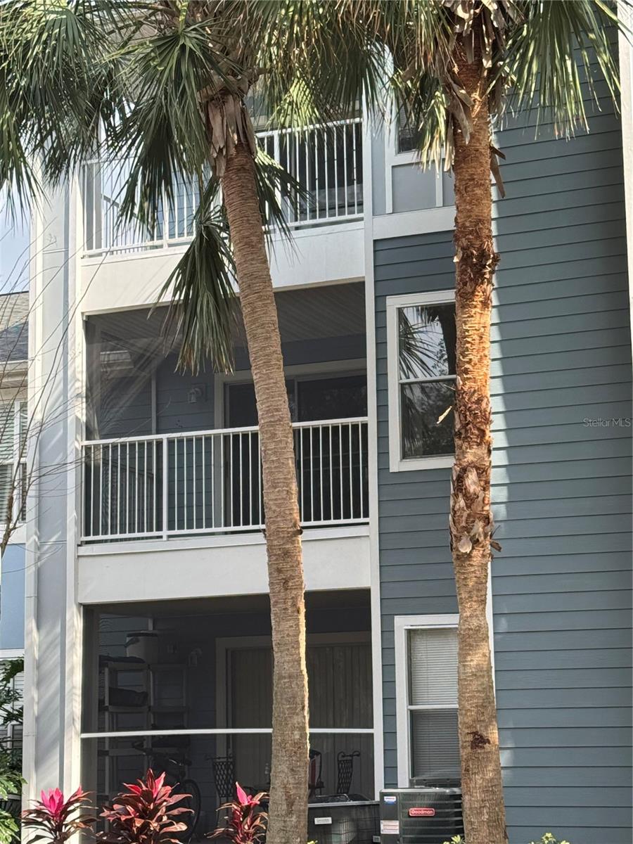 2533 GRASSY POINT DR #203, LAKE MARY, FL, 32746