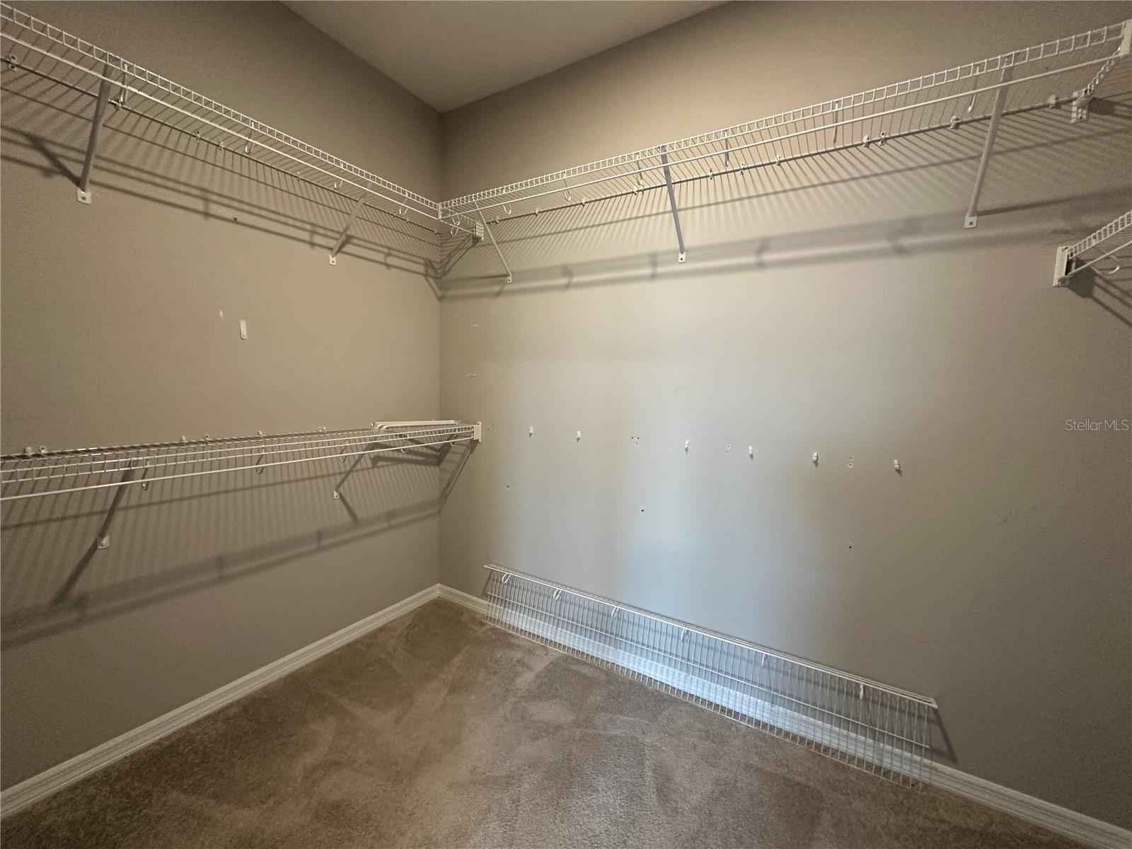 12513 ENCORE AT OVATION WAY, WINTER GARDEN, FL, 34787