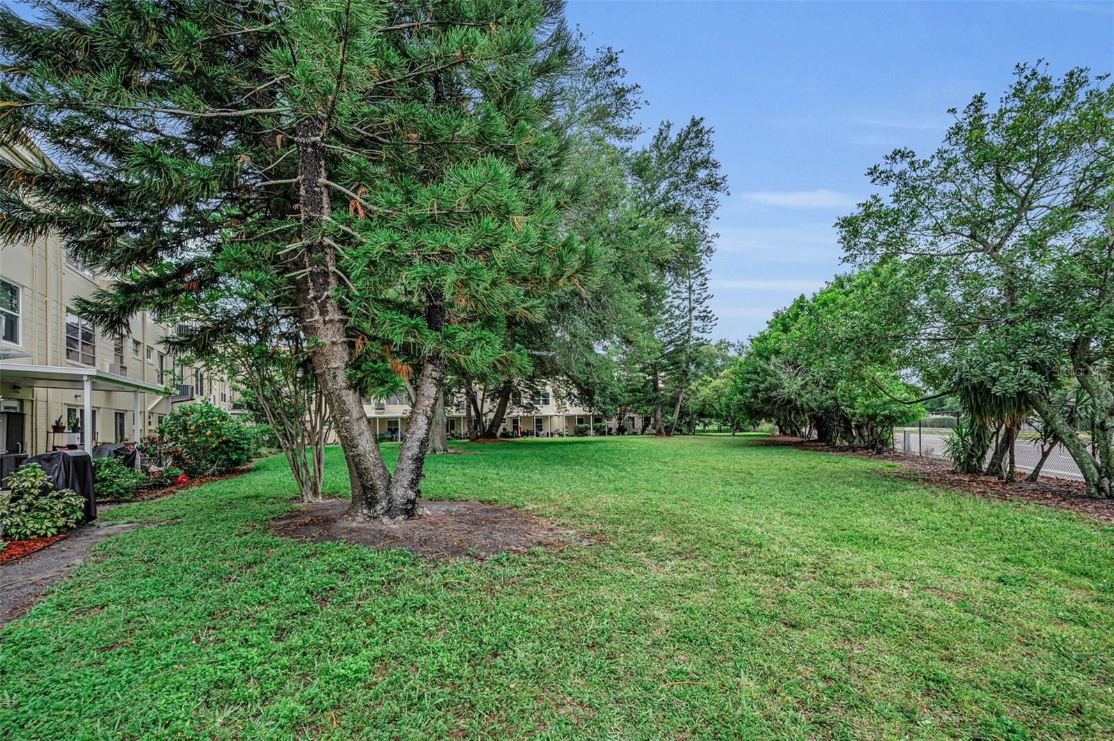 Beautiful Greenspace!