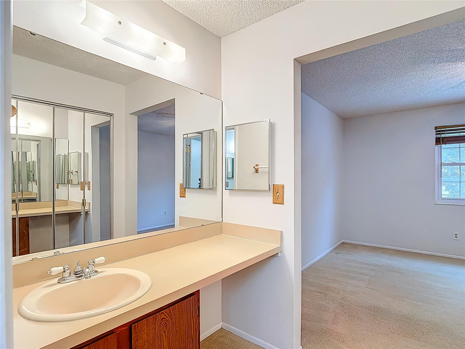 Vanity area w/sink-Access from Primary Bedroom