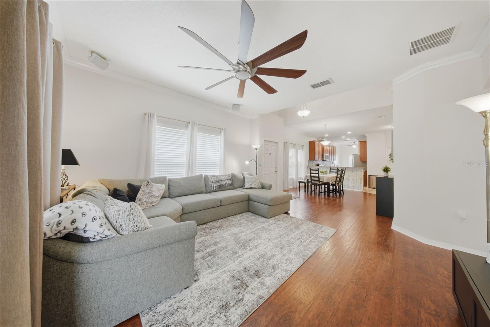 20115 INDIAN ROSEWOOD DR, TAMPA, FL, 33647