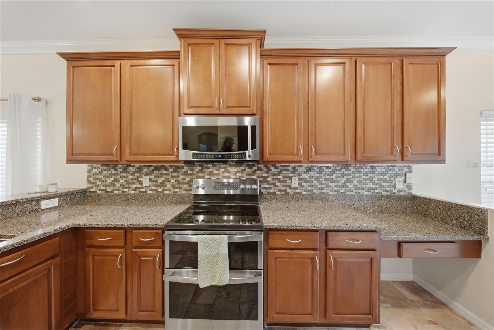 20115 INDIAN ROSEWOOD DR, TAMPA, FL, 33647