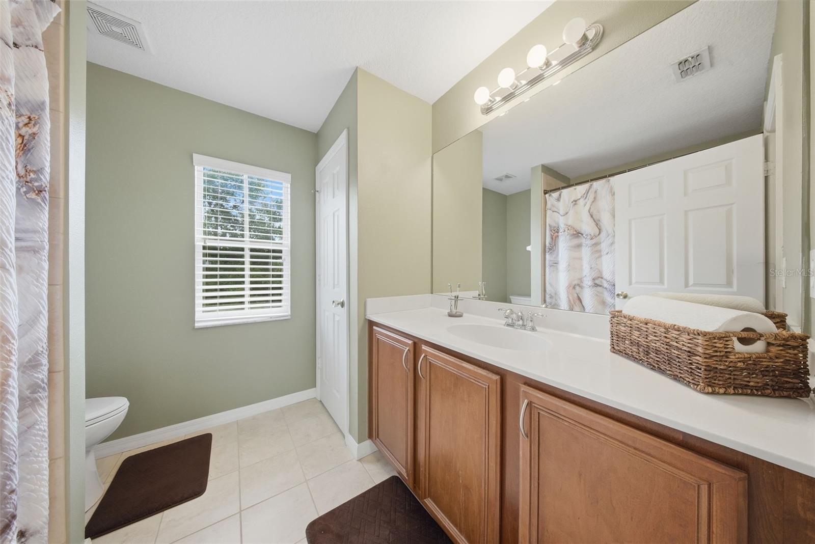 20115 INDIAN ROSEWOOD DR, TAMPA, FL, 33647