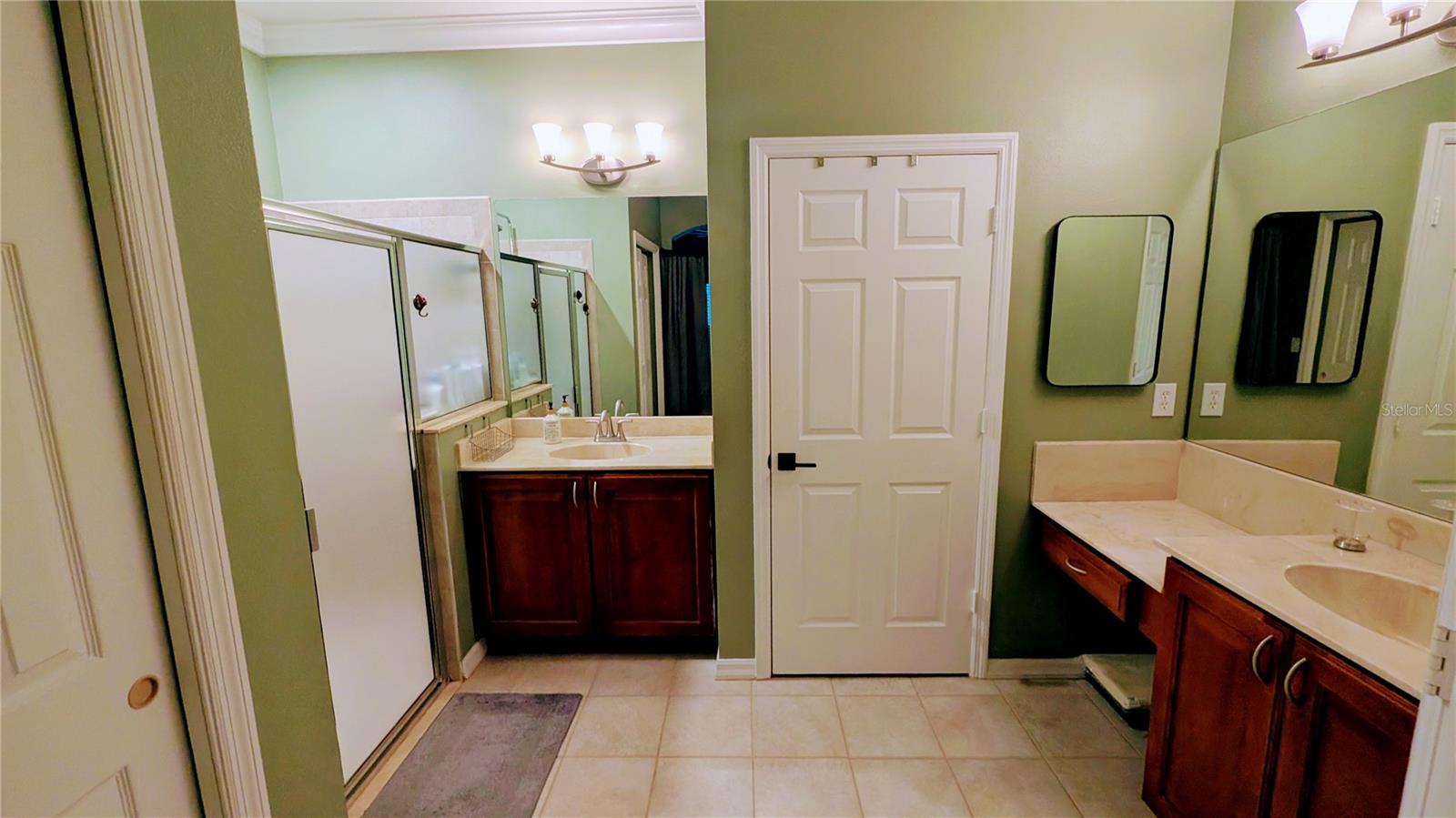 20115 INDIAN ROSEWOOD DR, TAMPA, FL, 33647