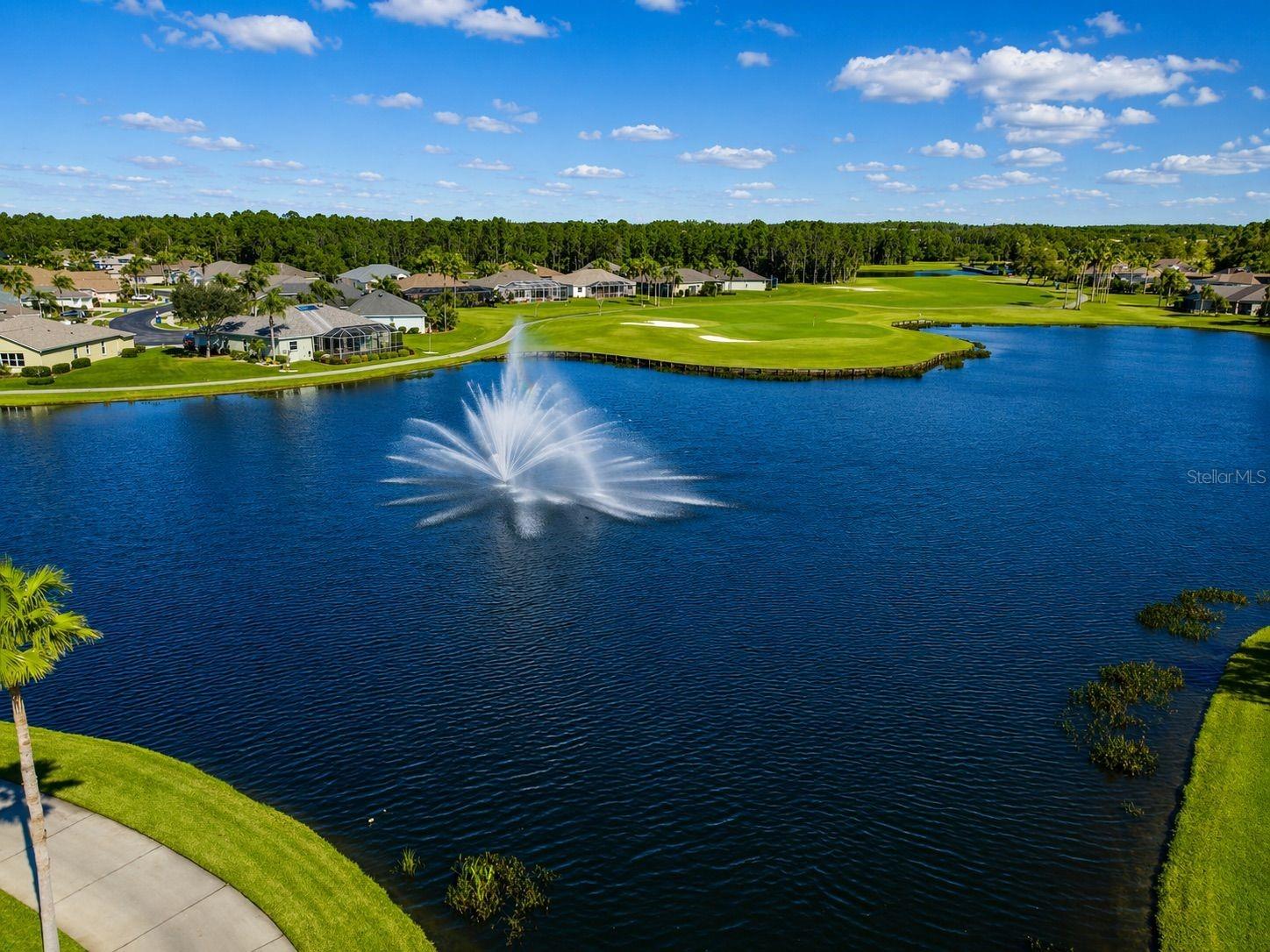 11539 WEAVER PARK CT, TRINITY, FL, 34655