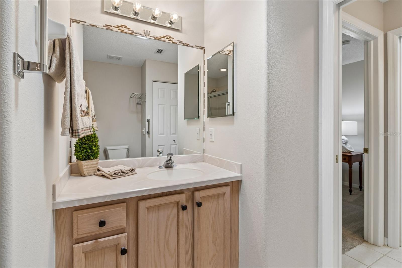 11539 WEAVER PARK CT, TRINITY, FL, 34655
