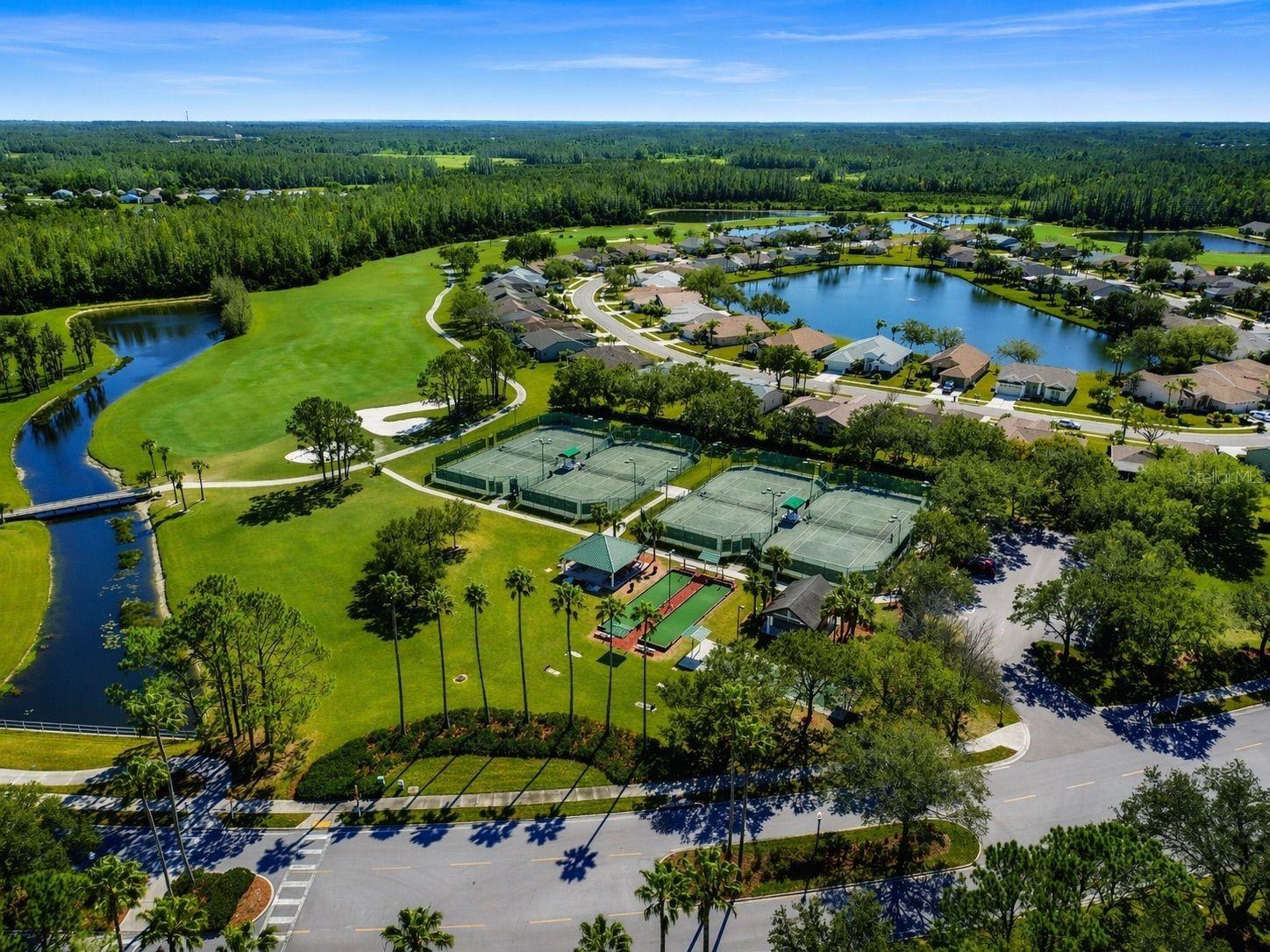 11539 WEAVER PARK CT, TRINITY, FL, 34655