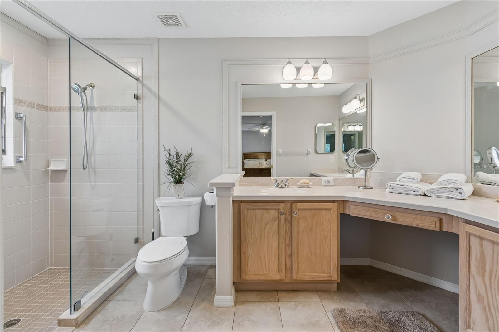 11539 WEAVER PARK CT, TRINITY, FL, 34655