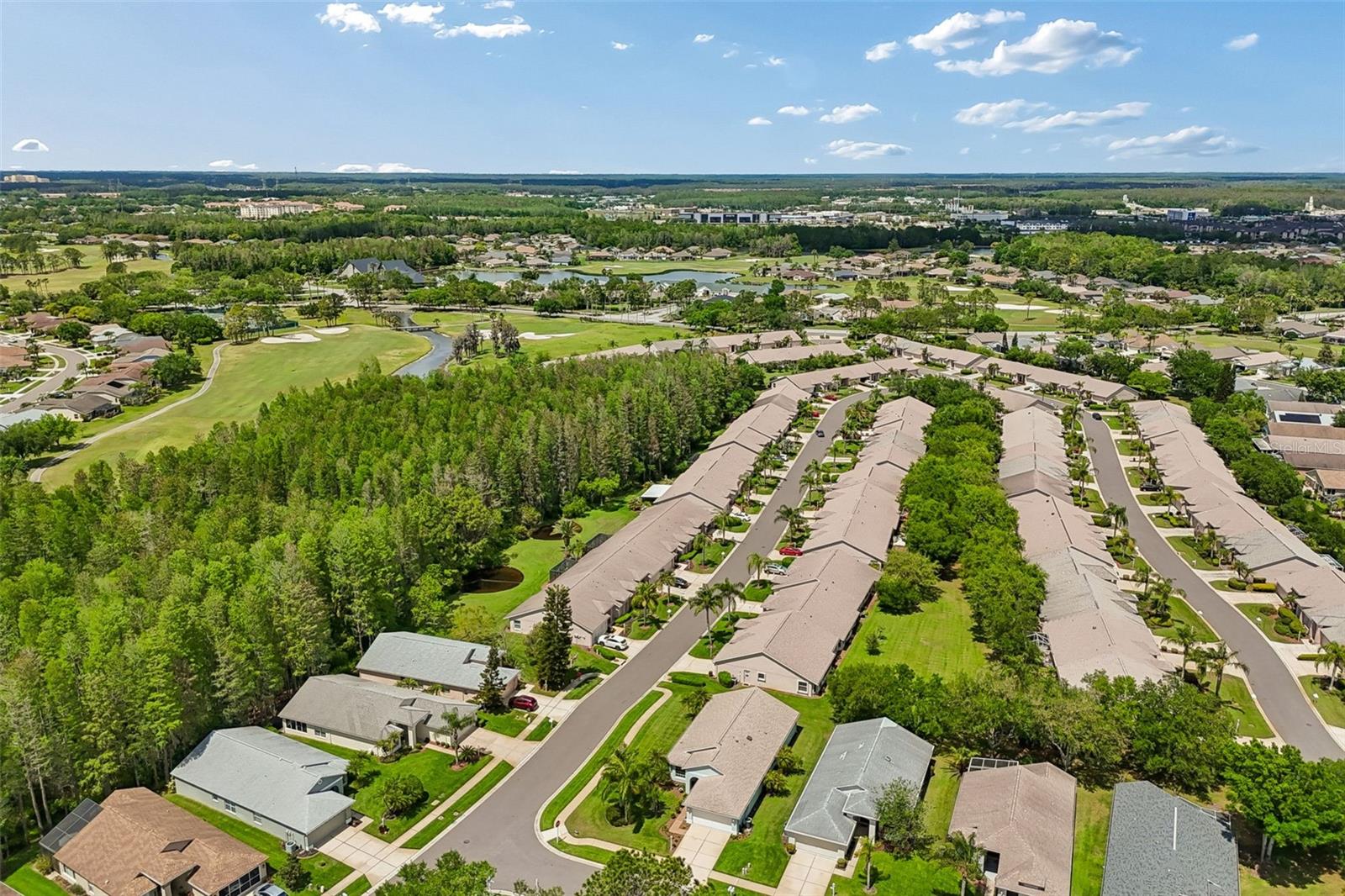 11539 WEAVER PARK CT, TRINITY, FL, 34655
