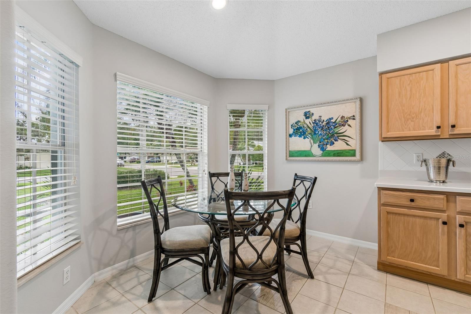 11539 WEAVER PARK CT, TRINITY, FL, 34655