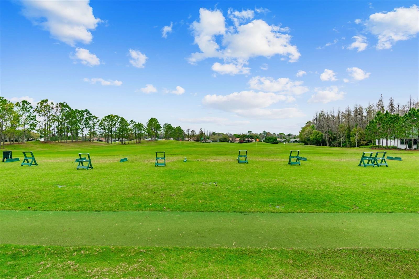 11539 WEAVER PARK CT, TRINITY, FL, 34655