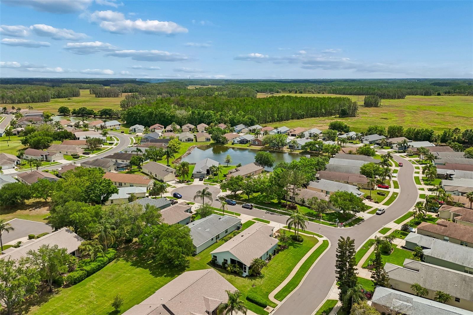 11539 WEAVER PARK CT, TRINITY, FL, 34655