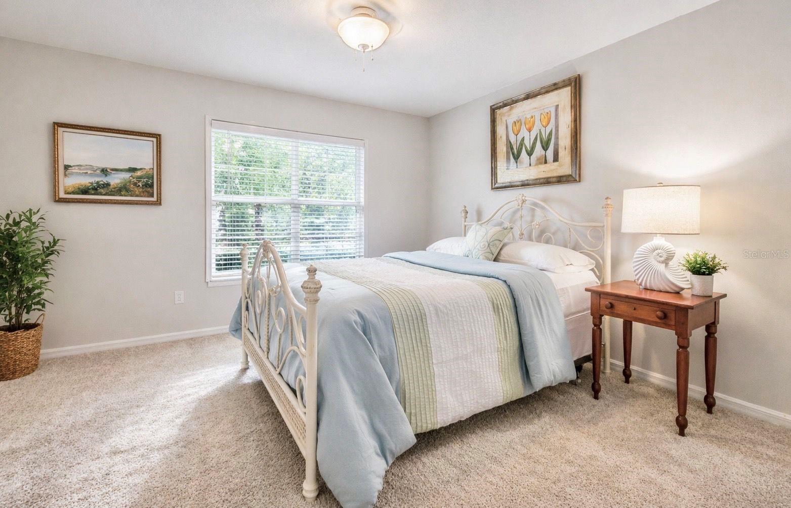 11539 WEAVER PARK CT, TRINITY, FL, 34655