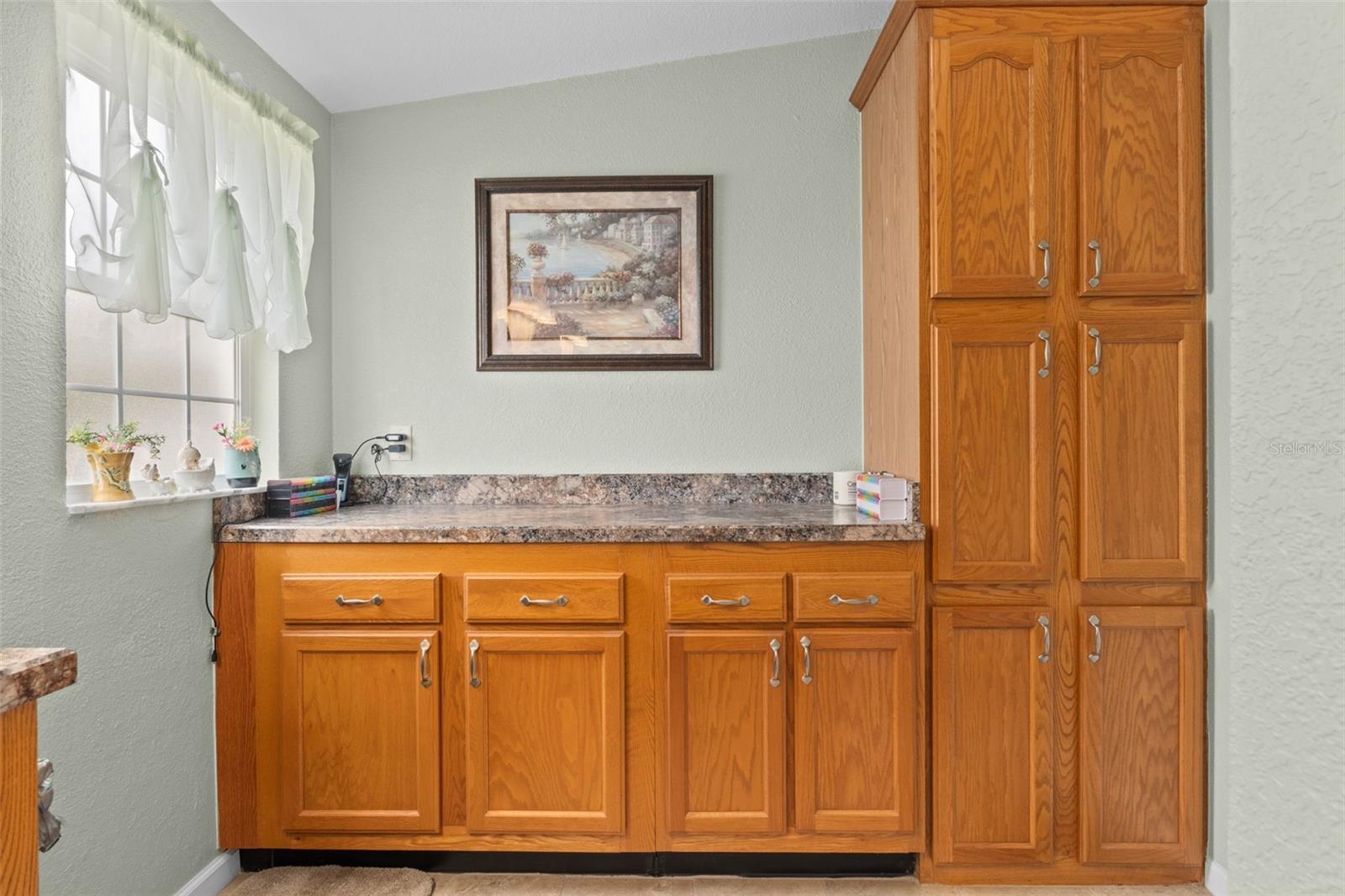 7340 DEVINE AVE, BROOKSVILLE, FL, 34613