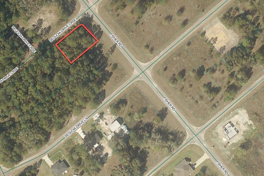 200 FISHER ROAD, OCKLAWAHA, FL, 32179