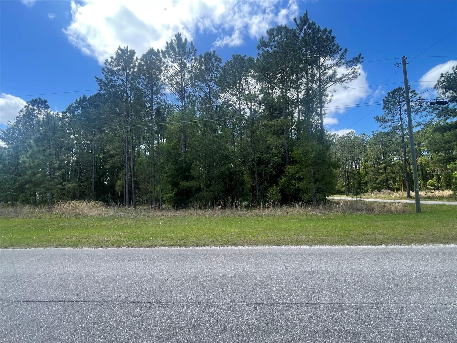 200 FISHER ROAD, OCKLAWAHA, FL, 32179