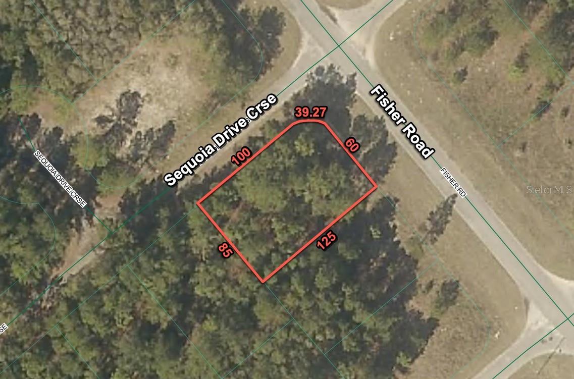 200 FISHER ROAD, OCKLAWAHA, FL, 32179