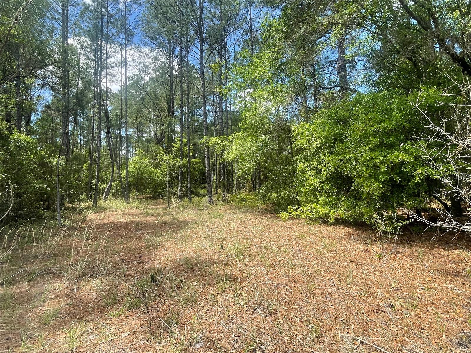 200 FISHER ROAD, OCKLAWAHA, FL, 32179