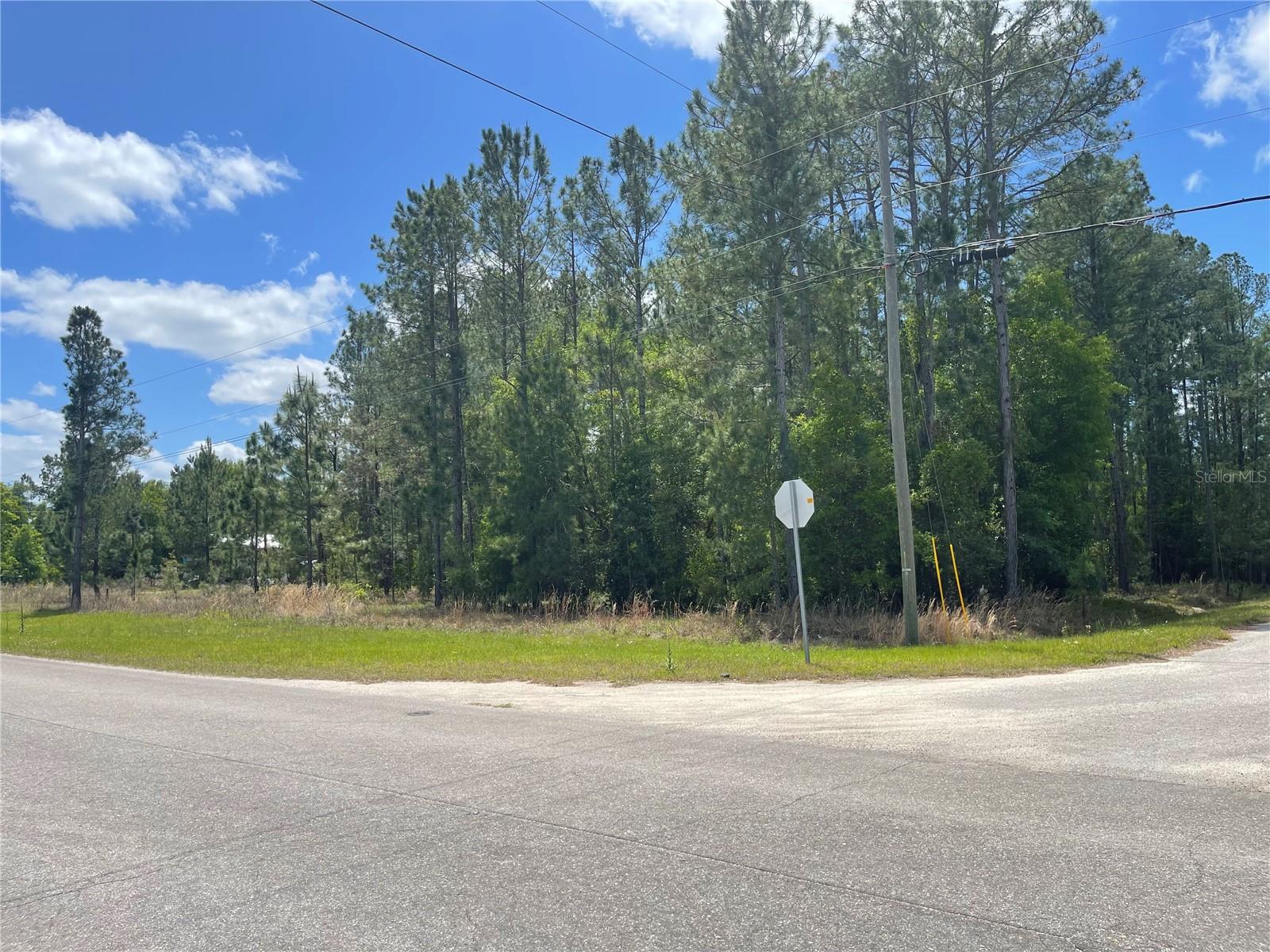 200 FISHER ROAD, OCKLAWAHA, FL, 32179