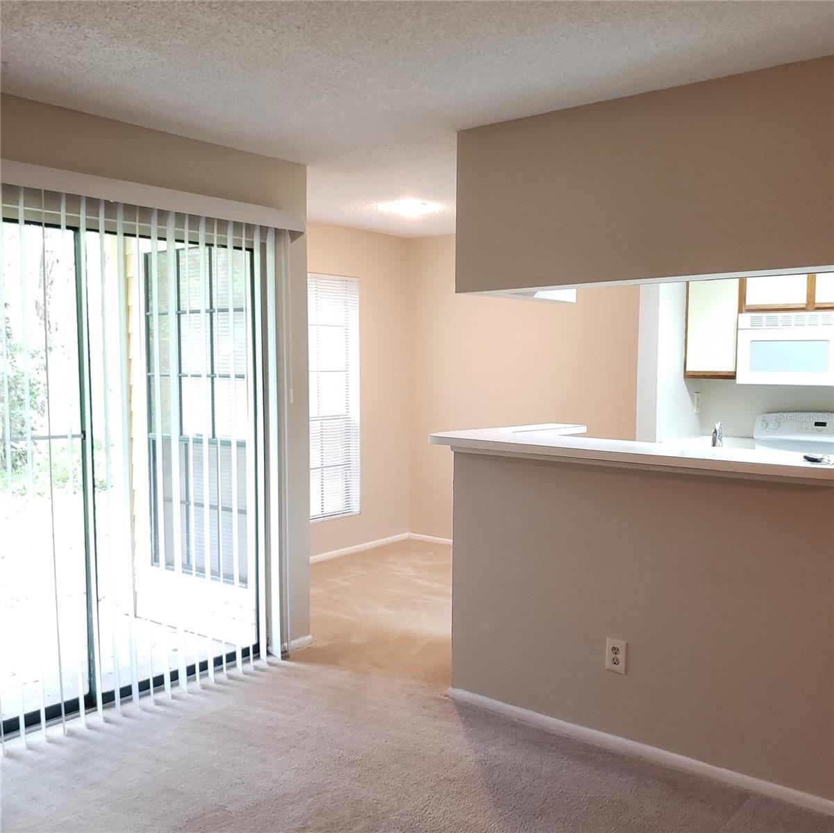 8630 MALLARD RESERVE DR #104, TAMPA, FL, 33614