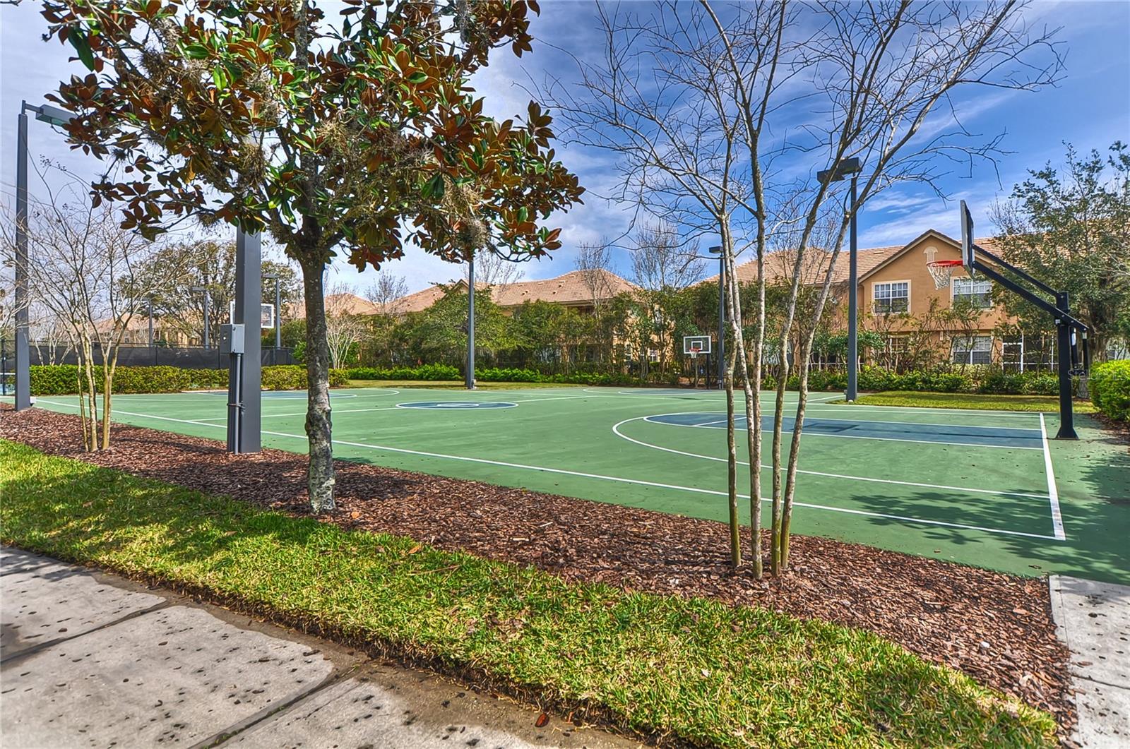 Basketball Court