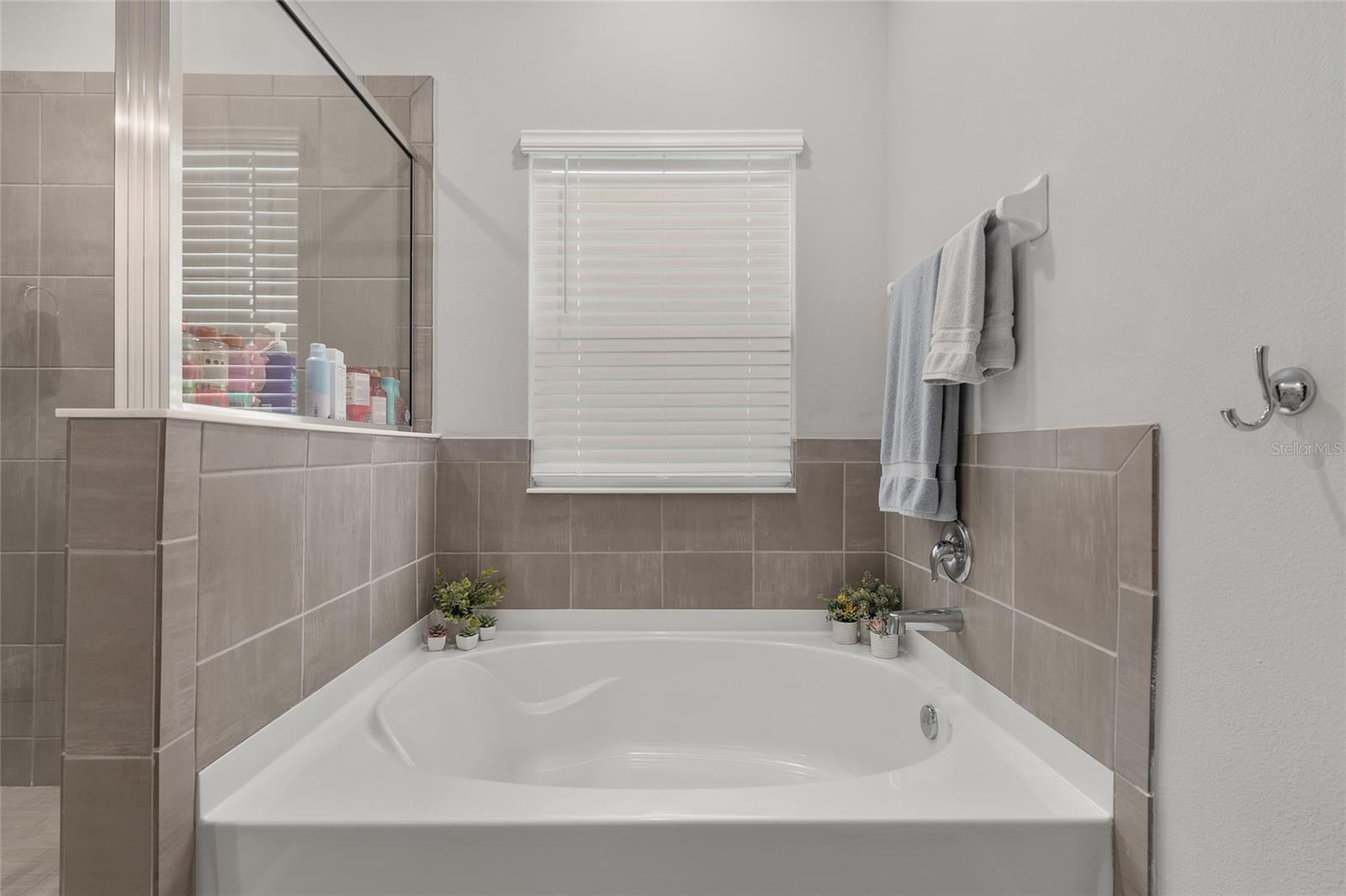 17352 NW 172ND AVE, ALACHUA, FL, 32615