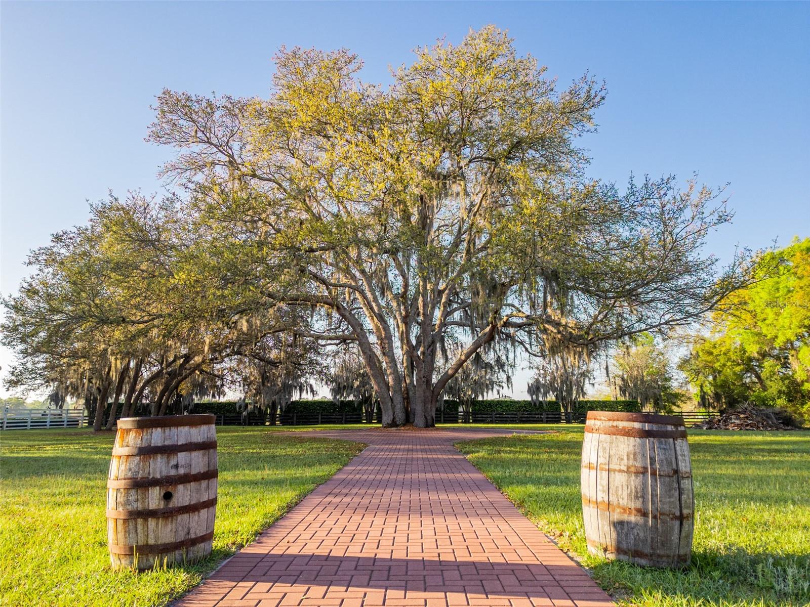 280 CAMPBELL RANCH RUN, GENEVA, FL, 32732