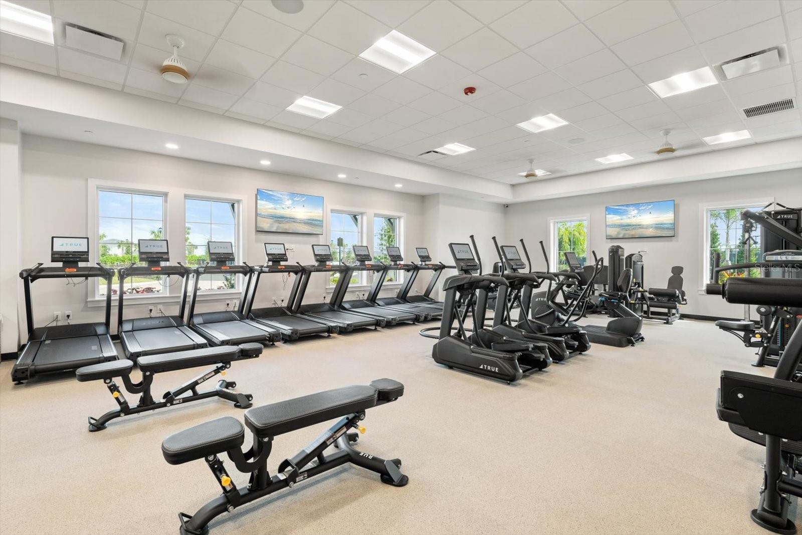 17738 PASTURELAND AVE, LAKEWOOD RANCH, FL, 34211