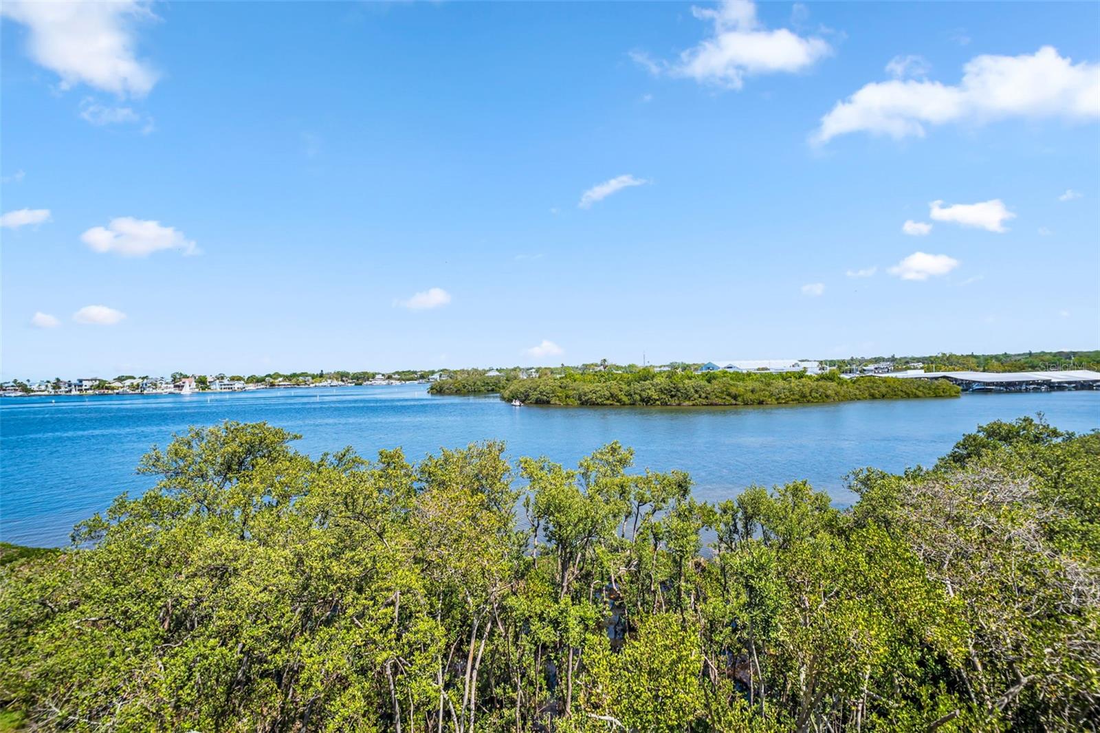 2700 BAYSHORE BLVD #9305, DUNEDIN, FL, 34698