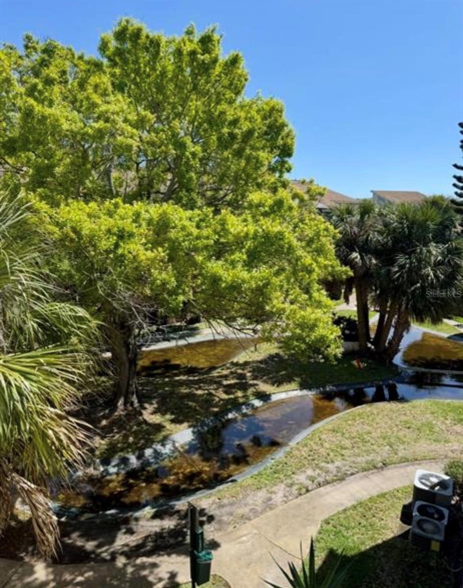 6312 NEWTOWN CIR #12C2, TAMPA, FL, 33615