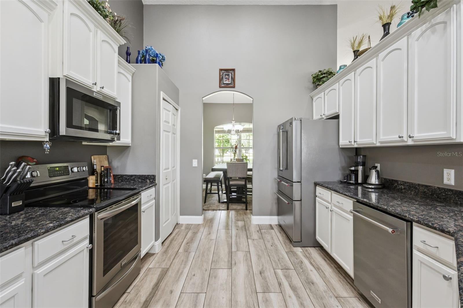 31038 FAIRVISTA DR, TAVARES, FL, 32778