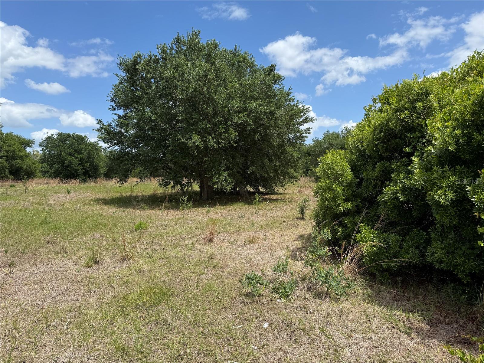 MYAKKA VALLEY TRL, SARASOTA, FL, 34241