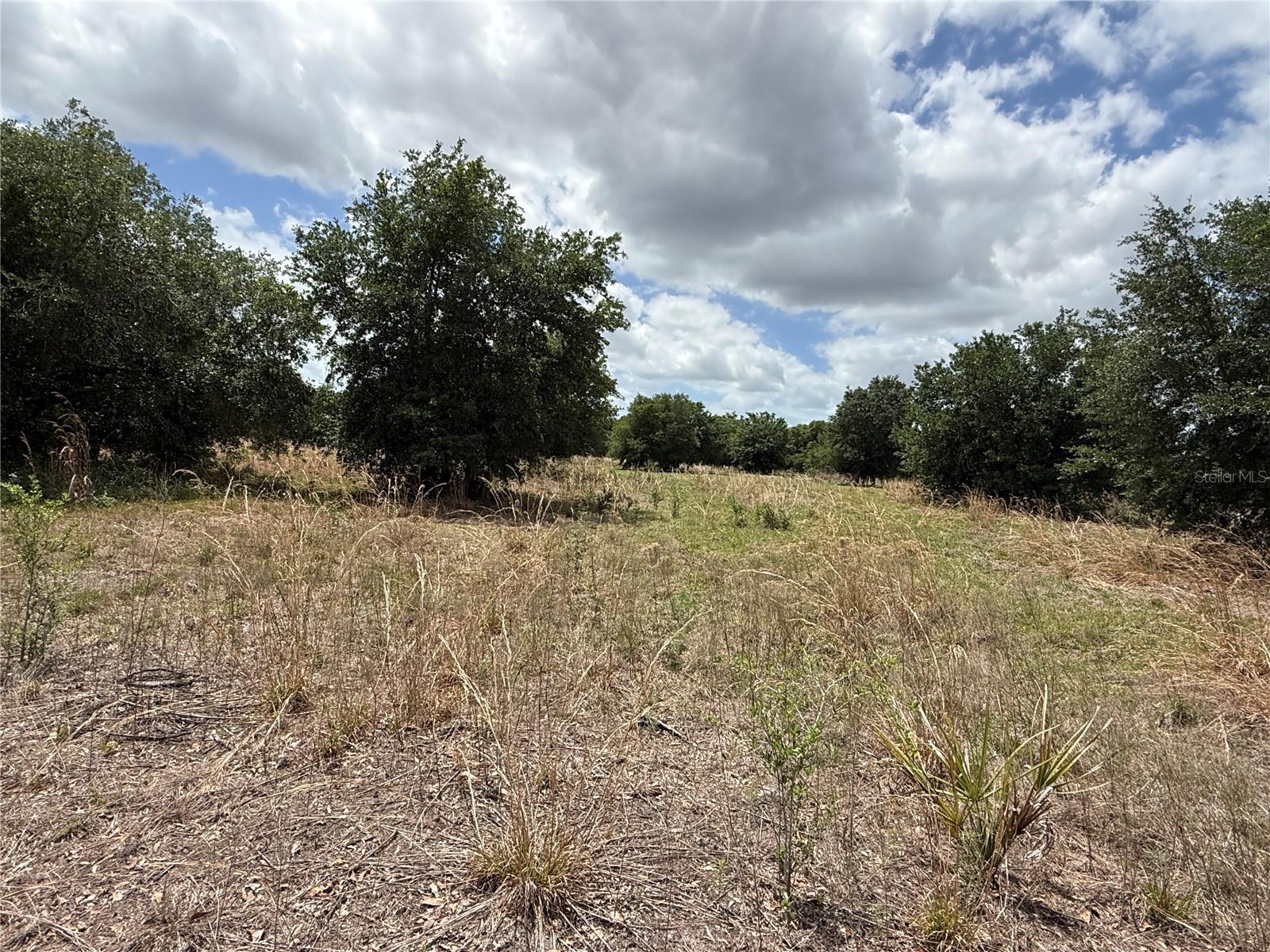 MYAKKA VALLEY TRL, SARASOTA, FL, 34241