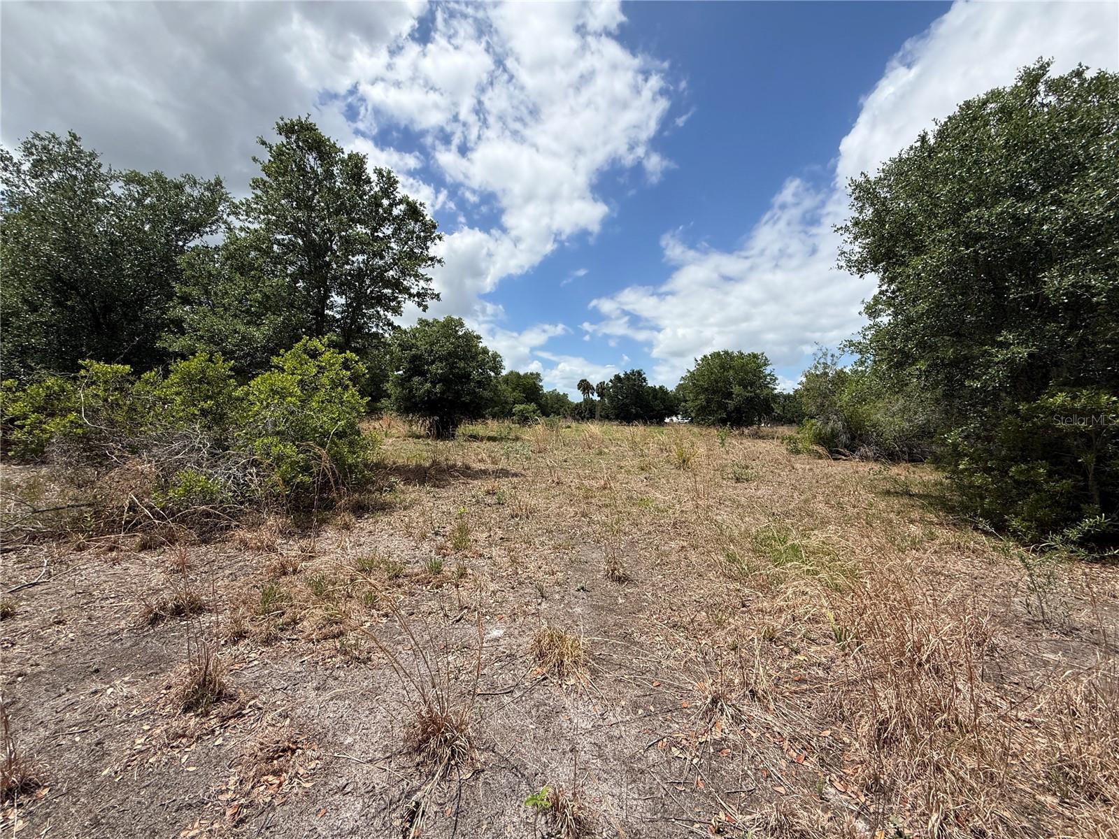 MYAKKA VALLEY TRL, SARASOTA, FL, 34241