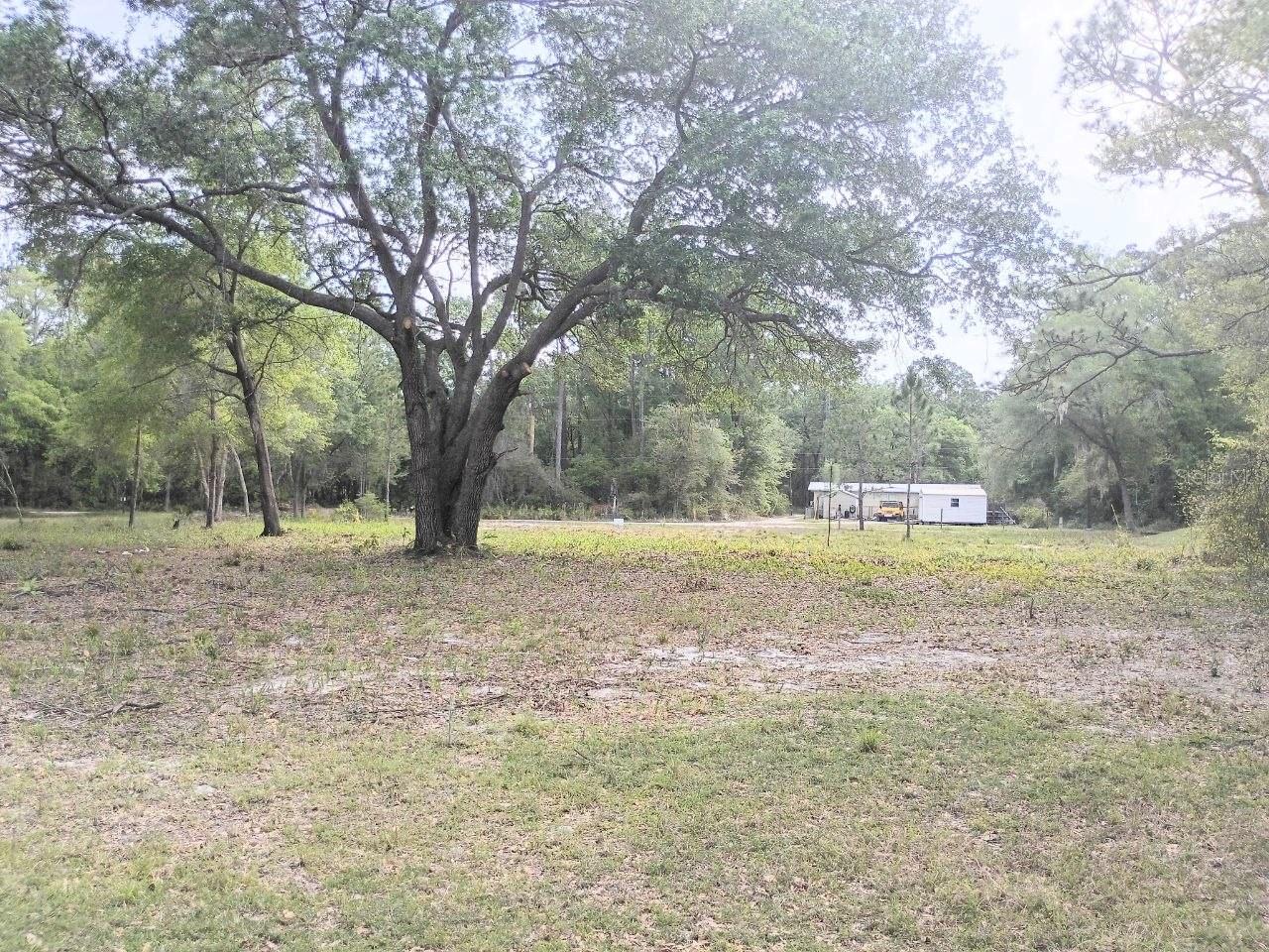 NE 141ST CT, FORT MC COY, FL, 32134