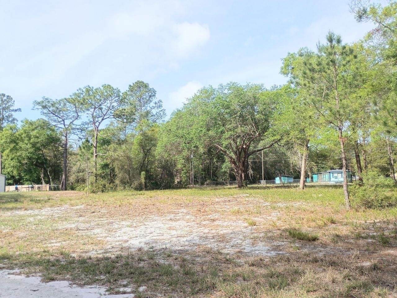 NE 141ST CT, FORT MC COY, FL, 32134