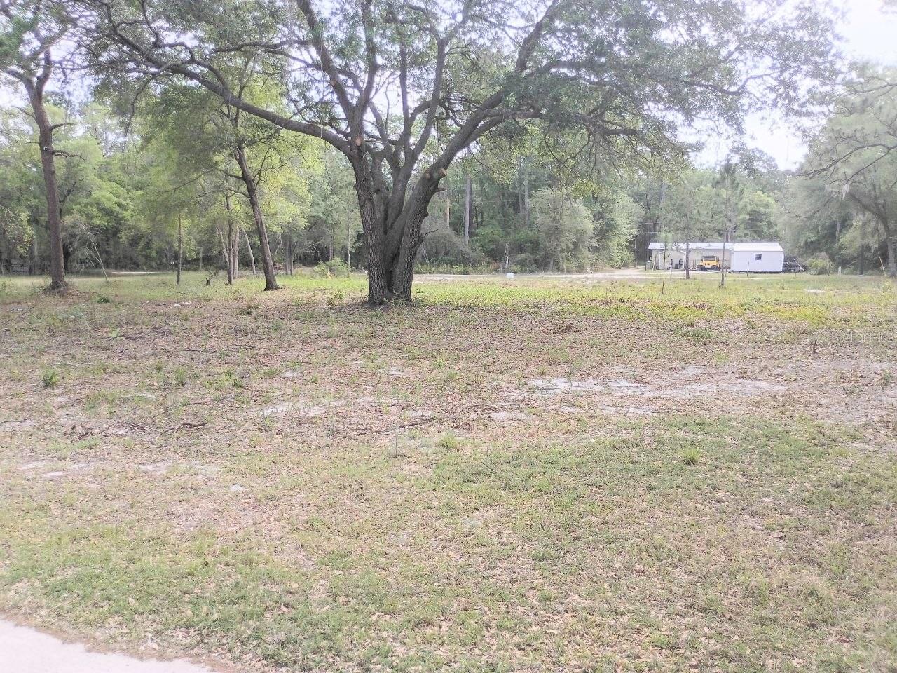 NE 141ST CT, FORT MC COY, FL, 32134