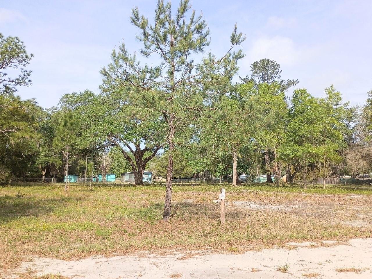 NE 141ST CT, FORT MC COY, FL, 32134
