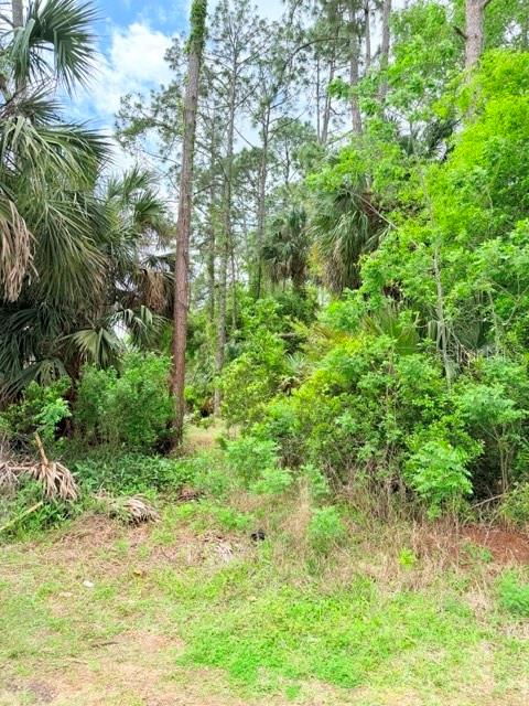39 BRADDOCK LN, PALM COAST, FL, 32137