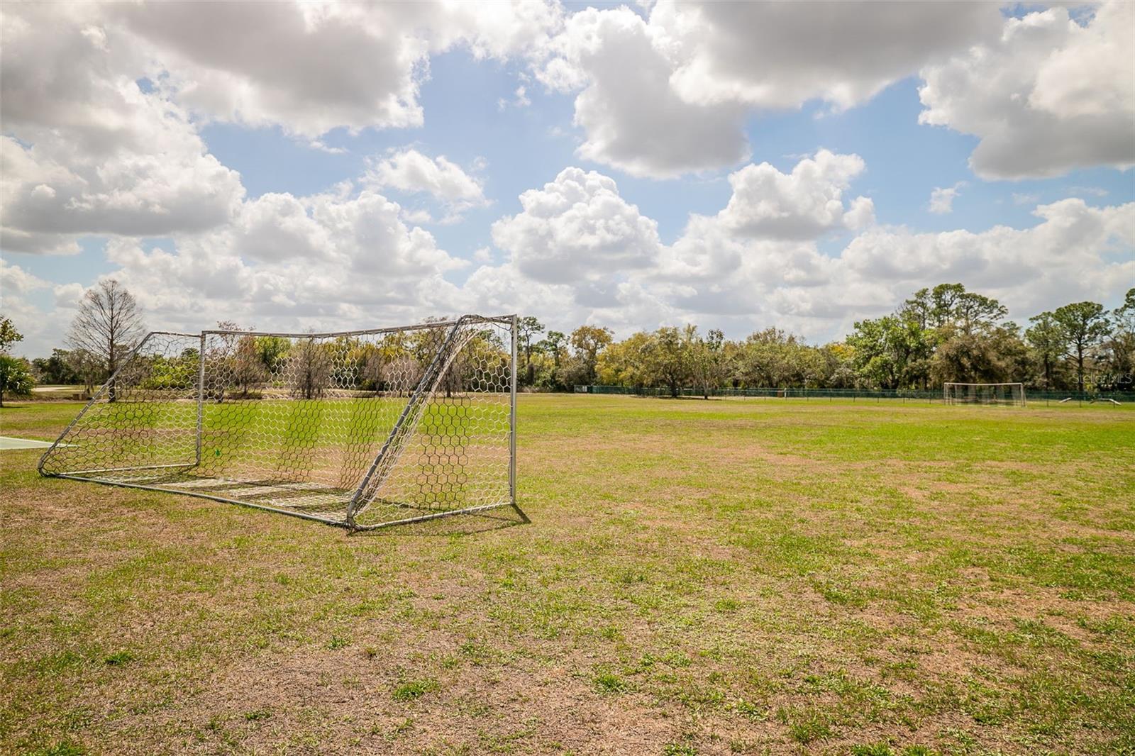 13339 SWALLOWTAIL DR, LAKEWOOD RANCH, FL, 34202