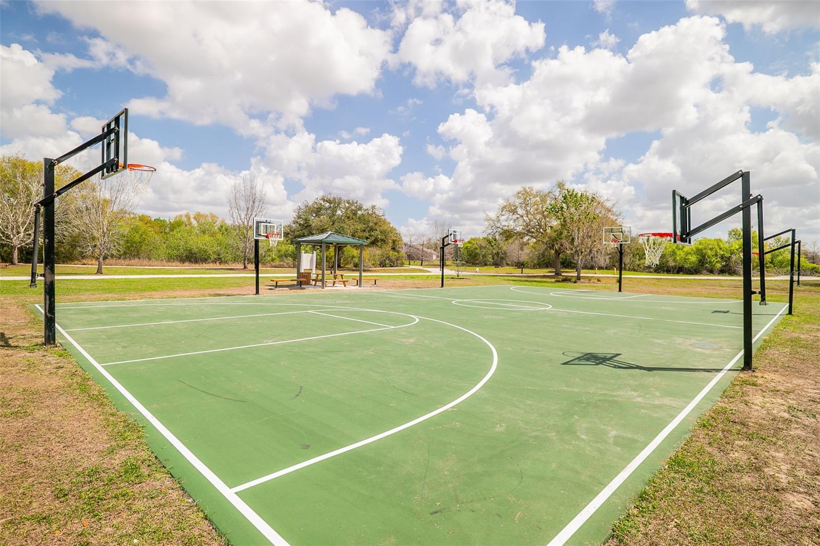 13339 SWALLOWTAIL DR, LAKEWOOD RANCH, FL, 34202