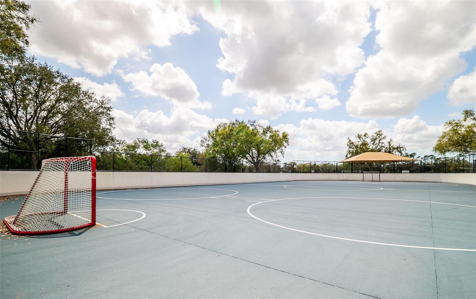 13339 SWALLOWTAIL DR, LAKEWOOD RANCH, FL, 34202