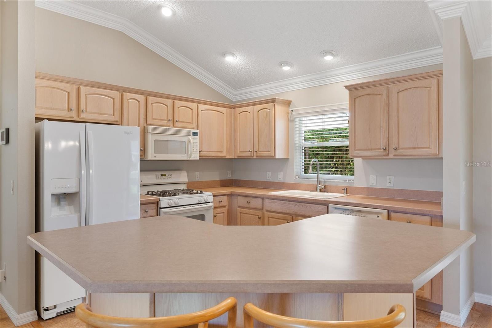 1982 SOMERSET AVE, THE VILLAGES, FL, 32162