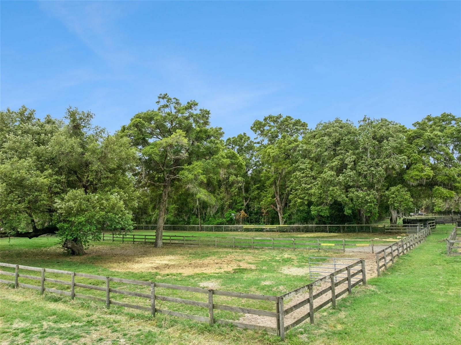 15950 NE 50TH ST, WILLISTON, FL, 32696