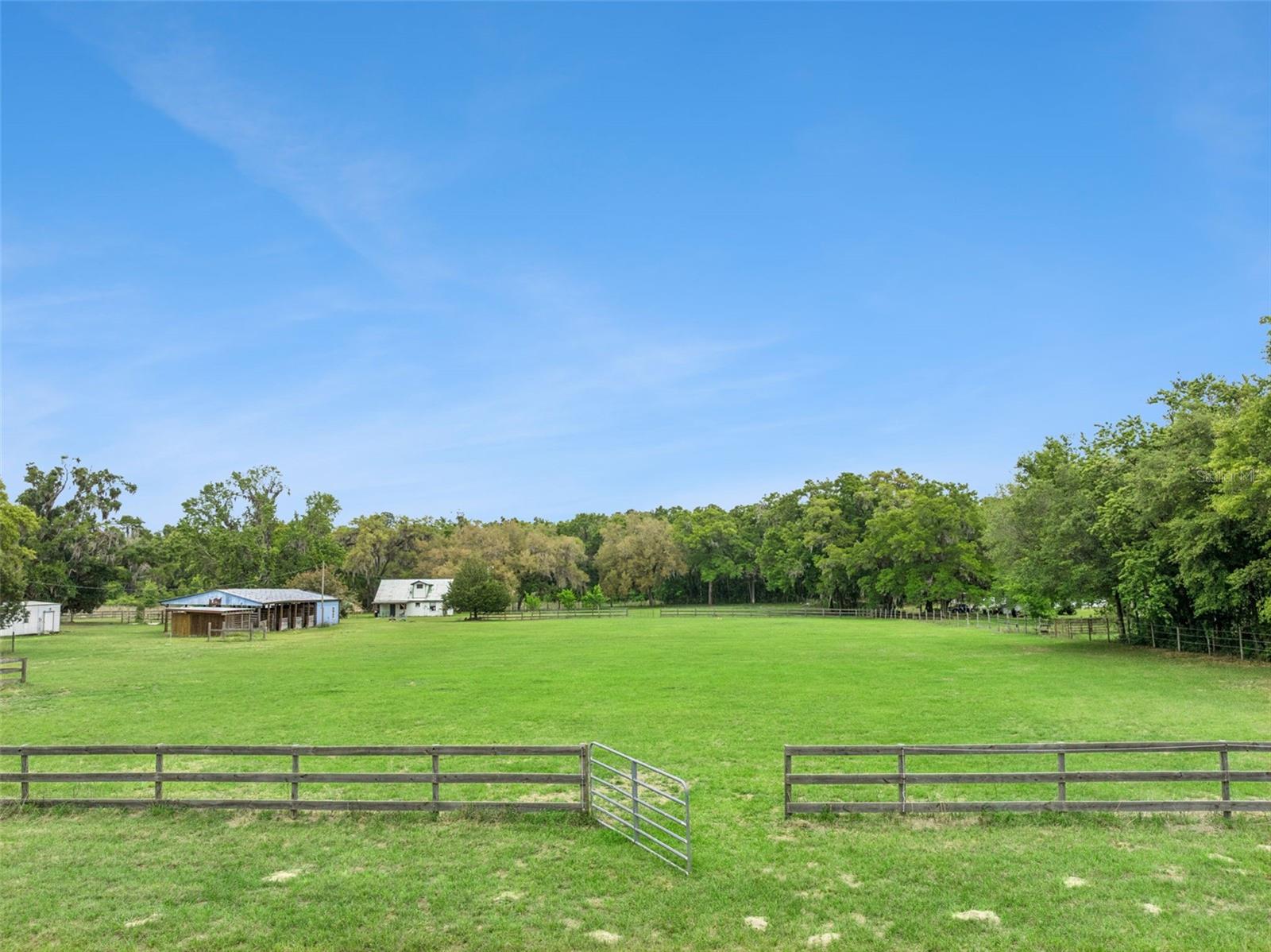15950 NE 50TH ST, WILLISTON, FL, 32696