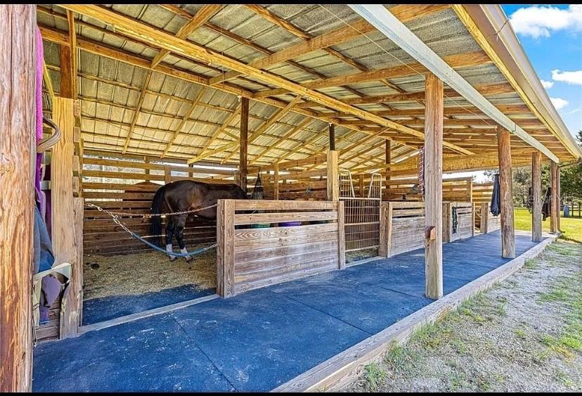 15950 NE 50TH ST, WILLISTON, FL, 32696