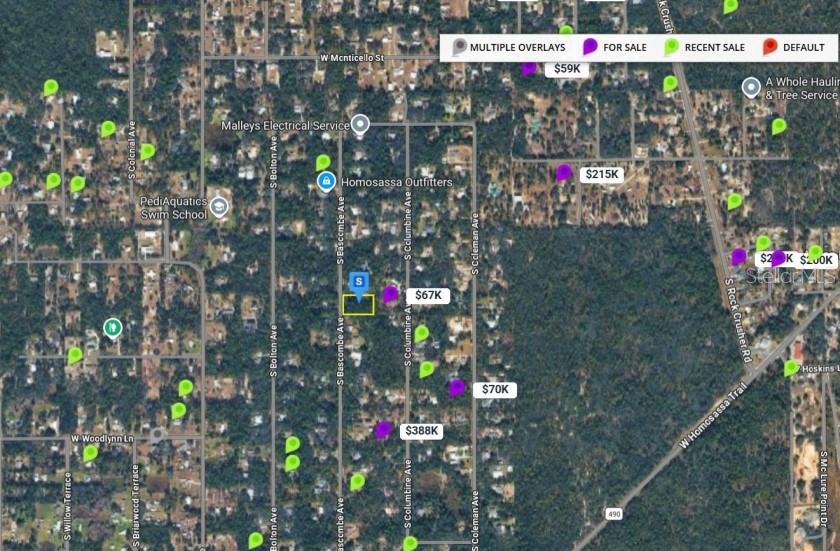 2389 S BASCOMBE AVE, HOMOSASSA, FL, 34448