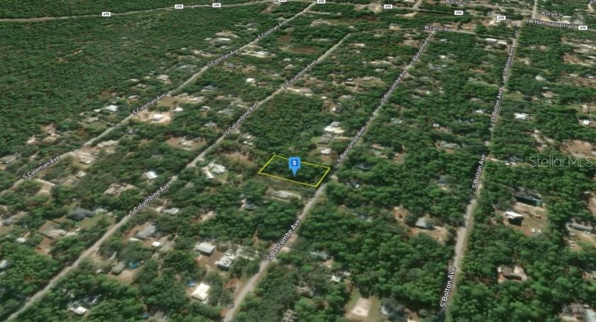 2389 S BASCOMBE AVE, HOMOSASSA, FL, 34448