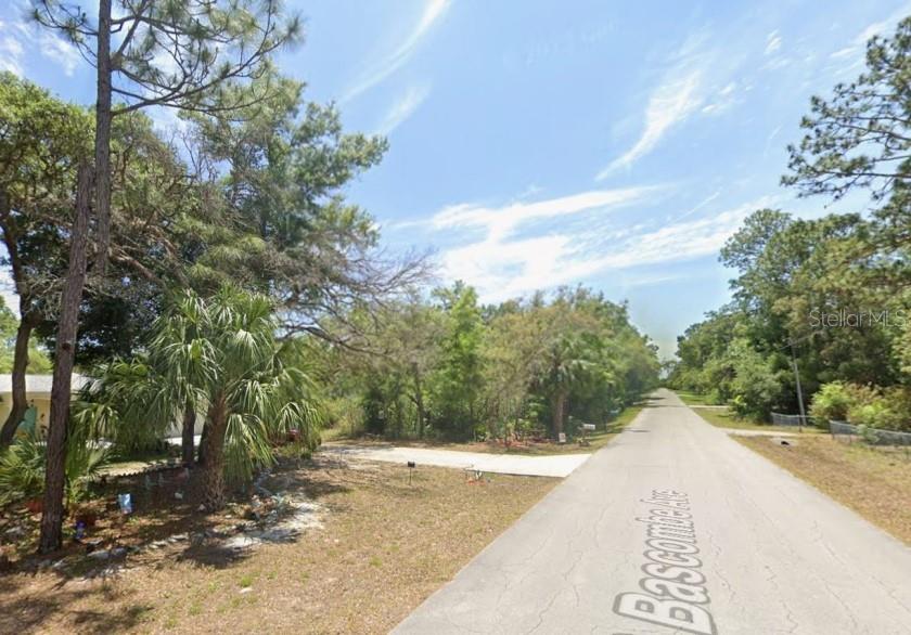 2389 S BASCOMBE AVE, HOMOSASSA, FL, 34448